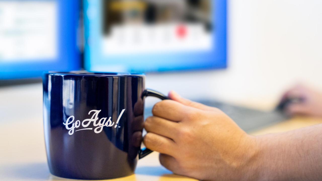 Go Ags! mug in use at a desk